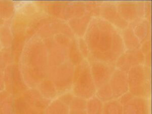 Kamień pomaranczowy 1